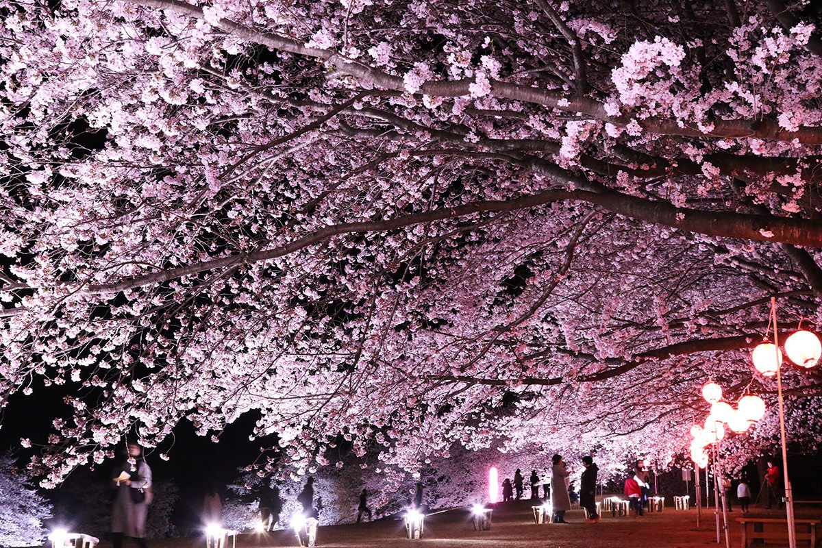 🎈 후지오카 와타라세 운동 공원 (후지오카 와타라세 운도코엔) 이미지 4